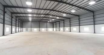 Commercial Warehouse 20000 Sq.Ft. For Rent In Kamod Ahmedabad 6678465