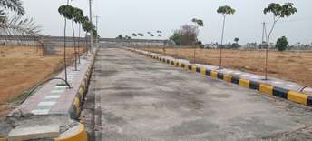  Plot For Resale in Chintalakunta Hyderabad 6679091