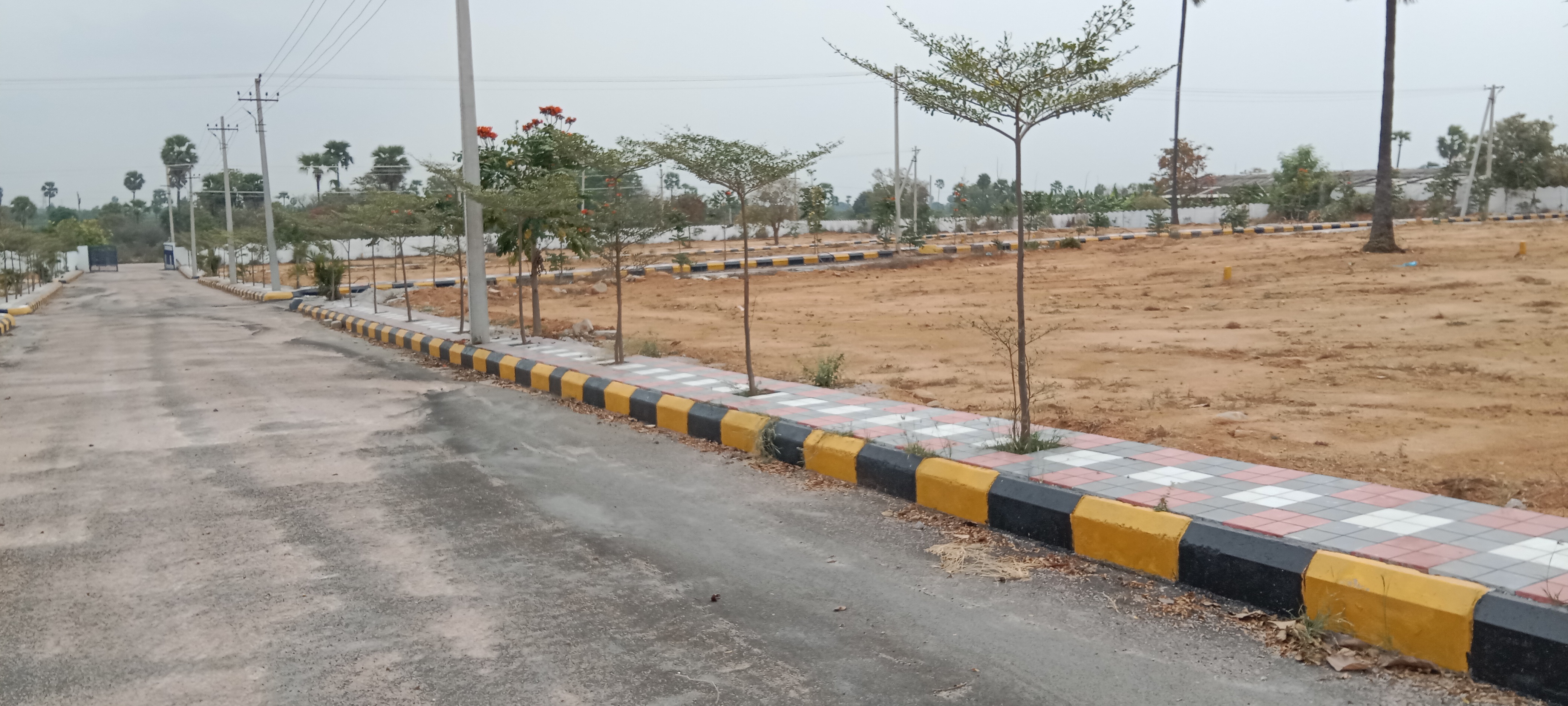  Plot For Resale in Khairatabad Hyderabad 6679100