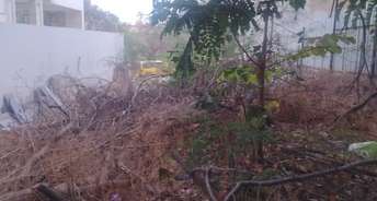  Plot For Resale in Temple Tree Jubilee Hills Jubilee Hills Hyderabad 6679956
