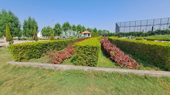 Plot For Resale in Santoshi Nagar Raipur  6679998