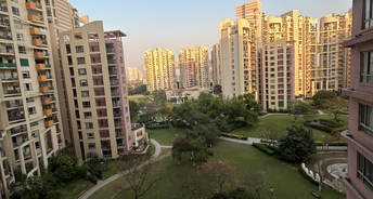 3 BHK Apartment For Rent in Unitech The Close South Sector 50 Gurgaon 6680293