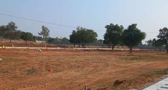  Plot For Resale in Gautam Buddha University Greater Noida 6680515