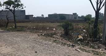 Commercial Industrial Plot 1130 Sq.Ft. For Resale In Meera Kot Amritsar 6680569