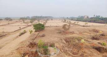  Plot For Resale in Kalathur Kanchipuram 6680591
