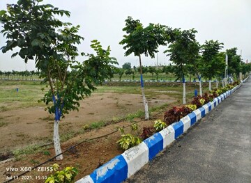 Plot Area in  Plot at Thimmapur – for Sale