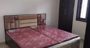 3 BHK Builder Floor For Rent in JMD Samanvay Sector 50 Gurgaon 6681162