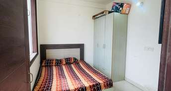 1 BHK Builder Floor For Rent in Sector 115 Mohali 6681538