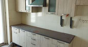 4 BHK Apartment For Rent in TDI City Kingsbury Kundli Sonipat 6682520