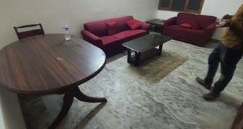 2 BHK Apartment For Resale in Dipni Apartment Pitampura Delhi 6682706