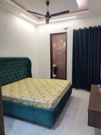1 BHK Apartment For Rent in Kharar Road Mohali 6683133