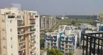 3 BHK Penthouse For Rent in Sushma Crescent Dhakoli Village Zirakpur 6683431