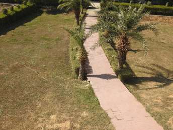 Commercial Land 1 Acre For Resale In Jewar Greater Noida 6683503