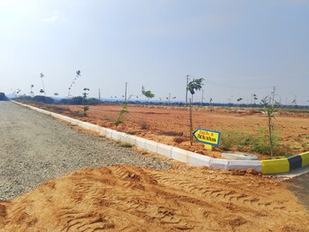 Plot For Resale in Kadthal Hyderabad  6683753