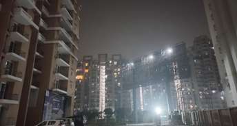 2 BHK Apartment For Rent in JNC The Park Noida Ext Sector 16c Greater Noida 6684065