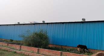Commercial Warehouse 1000 Sq.Yd. For Rent In Ahmamau Lucknow 6684109