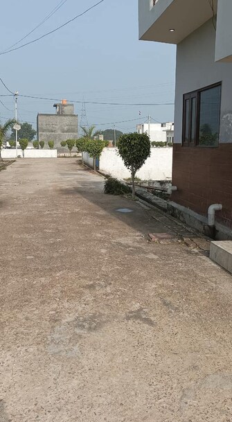 Plot For Resale in Ashoka NCR Green Extension Noida Ext Sector 1 Greater Noida  6684345