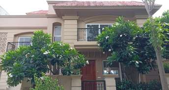 4 BHK Villa For Rent in Shalimar Paradise Faizabad Road Lucknow 6684741