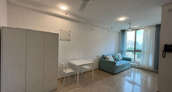 1 RK Apartment For Rent in Hiranandani Estate Solitaire C Ghodbunder Road Thane 6685493