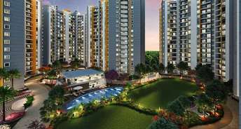2 BHK Apartment For Rent in Shapoorji Pallonji Joyville Hinjawadi Phase 6 Hinjewadi Pune 6685803