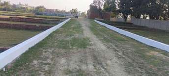  Plot For Resale in Jagatpura Jaipur 6686020