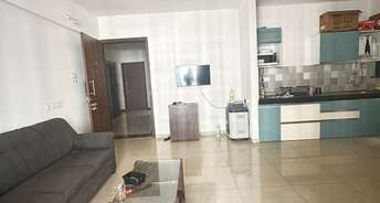 2 BHK Apartment For Rent in Kolte Patil Ivy Estate Nia Wagholi Pune 6686813