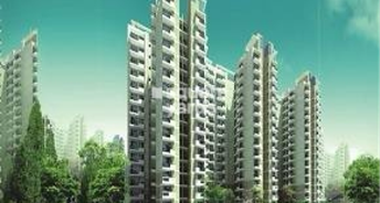 4 BHK Apartment For Rent in CHD Avenue 71 Sector 71 Gurgaon 6687221