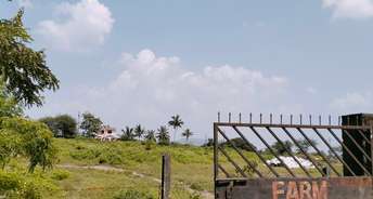  Plot For Resale in Lohgaon Pune 6687515