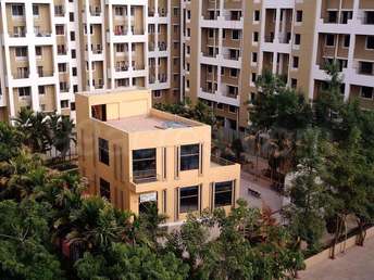 1 BHK Apartment For Rent in Sukhwani Palms Wagholi Pune 5856782