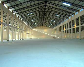 Commercial Warehouse 25000 Sq.Yd. For Rent In Patna University Campus Patna 6689095