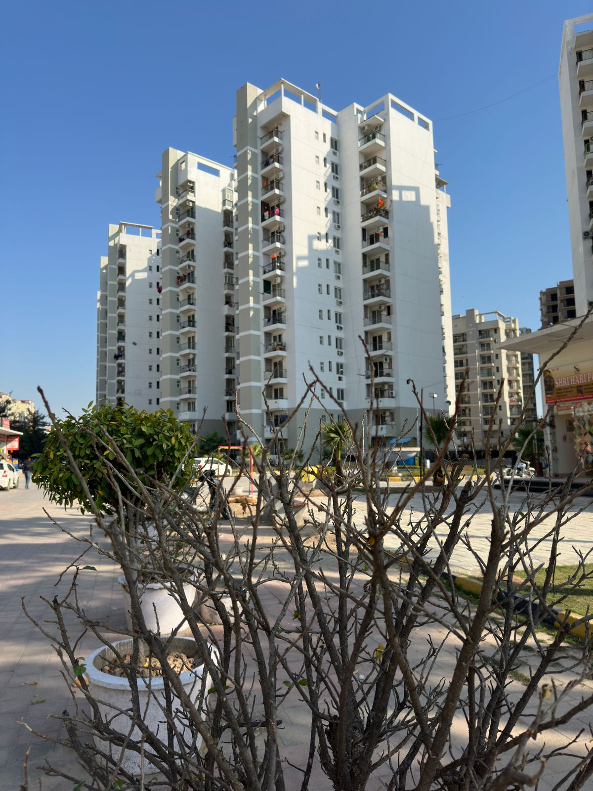 Rental 3 Bedroom 1550 Sq.Ft. Apartment in Vip Road Zirakpur 6689449