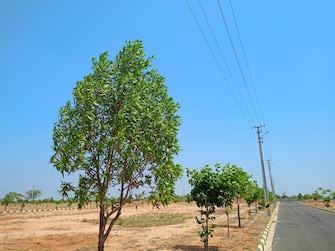 Plot For Resale in Vasudaika Southfields Kalwakole Hyderabad  6689545