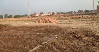  Plot For Resale in Yakubpur Noida 6689550