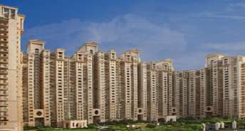 3 BHK Apartment For Rent in DLF Hamilton Court Sector 27 Gurgaon 6689616