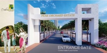 Plot For Resale in Wadoda Nagpur  6689782