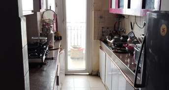 3 BHK Apartment For Rent in DLF The Primus Sector 82a Gurgaon 6689729
