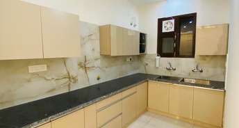 3 BHK Apartment For Rent in Sector 123 Mohali 6690161