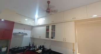 2 BHK Apartment For Rent in Pacifica Hillcrest Phase 1 Gachibowli Hyderabad 6690624