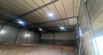 Commercial Warehouse 13000 Sq.Ft. For Rent In Fatehpur Beri Delhi 6690870