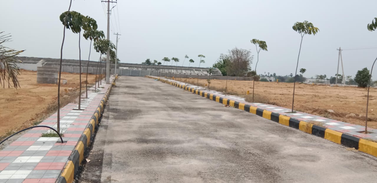  Plot For Resale in Bn Reddy Nagar Hyderabad 6691100