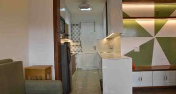 4 BHK Villa For Rent in Rajpur Dehradun 6691364
