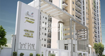 4 BHK Apartment For Resale in Orris Aster Court Premier Sector 85 Gurgaon 6692401