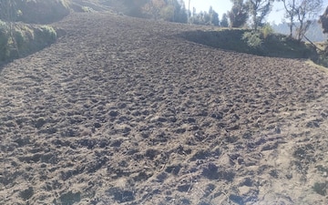 Land For Sale in Dhanachuli