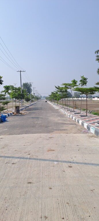 Plot For Resale in Nandikandi Hyderabad  6693867