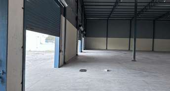 Commercial Warehouse 4100 Sq.Ft. For Rent In Sector 5 Gurgaon 6693995