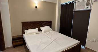 1 BHK Apartment For Rent in Tulip Lemon Sector 69 Gurgaon 6694908