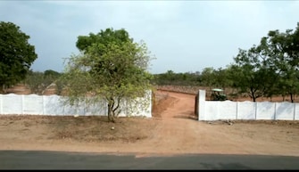 Plot For Resale in Jangaon Hyderabad  6694987