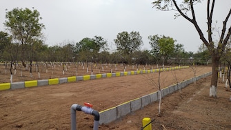 Plot For Resale in Jangaon Hyderabad  6694987