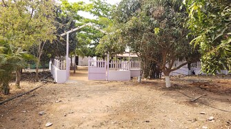 Plot For Resale in Jangaon Hyderabad  6694987