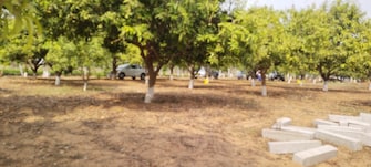 Plot For Resale in Jangaon Hyderabad  6694987